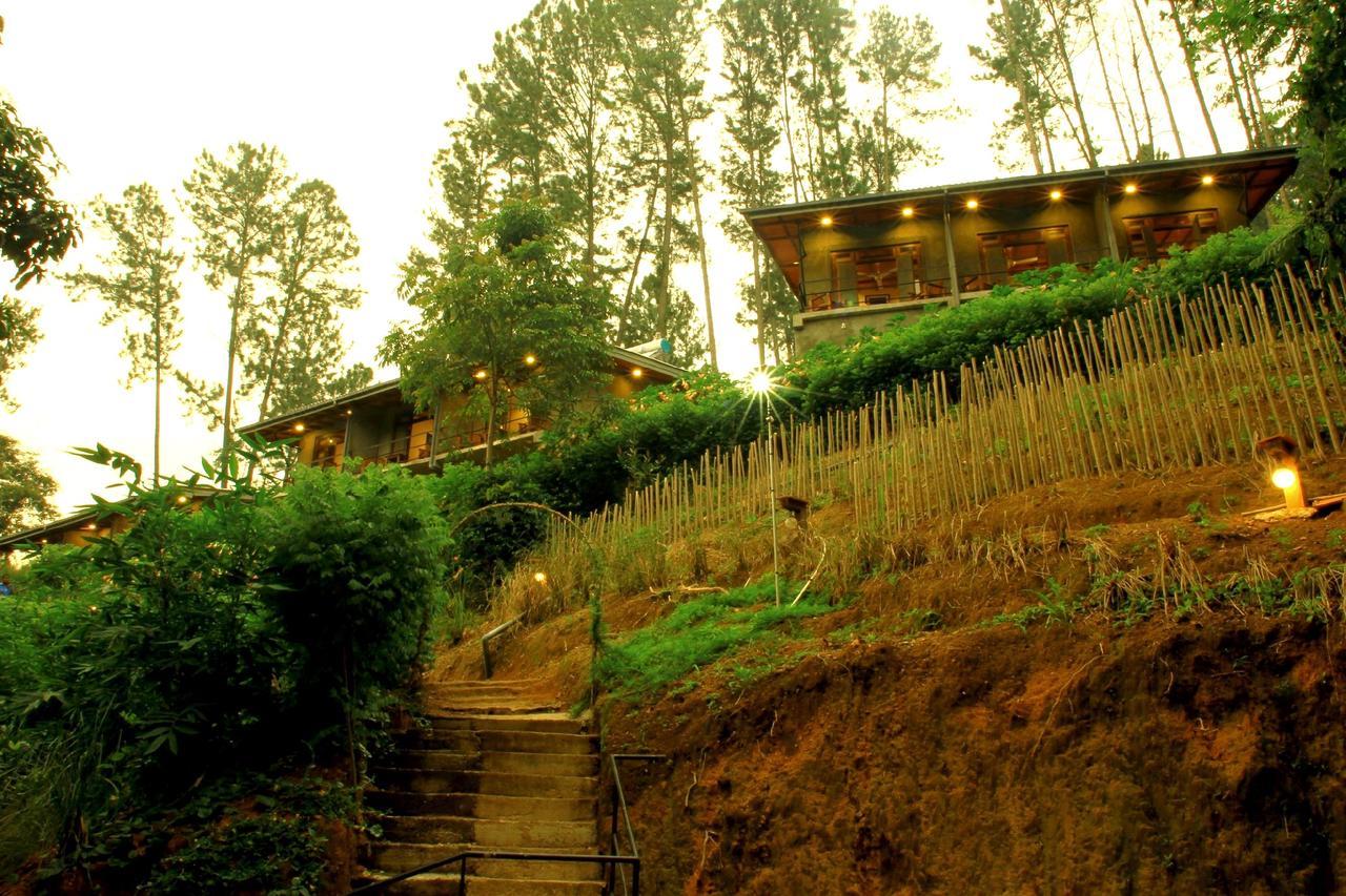 Rowinrich Cottages إيلا المظهر الخارجي الصورة