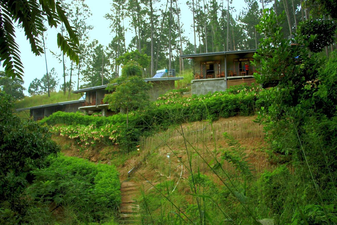 Rowinrich Cottages إيلا المظهر الخارجي الصورة