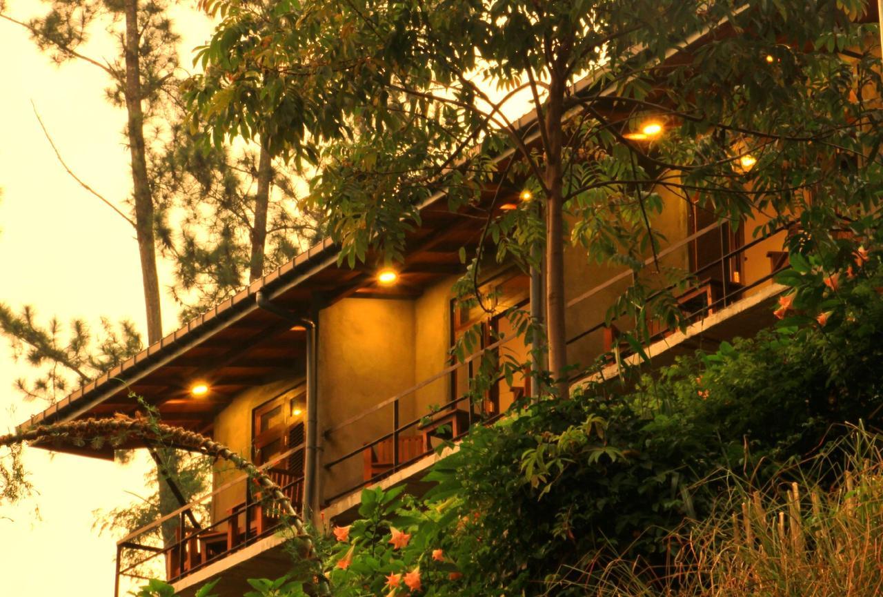 Rowinrich Cottages إيلا المظهر الخارجي الصورة