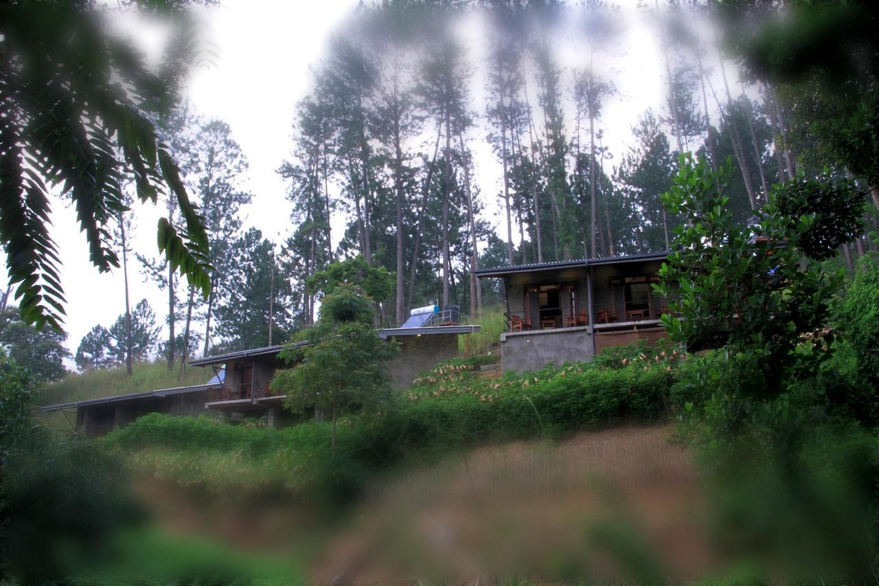 Rowinrich Cottages إيلا المظهر الخارجي الصورة