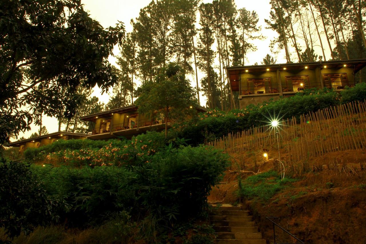 Rowinrich Cottages إيلا المظهر الخارجي الصورة